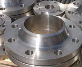 Duplex Steel Flanges